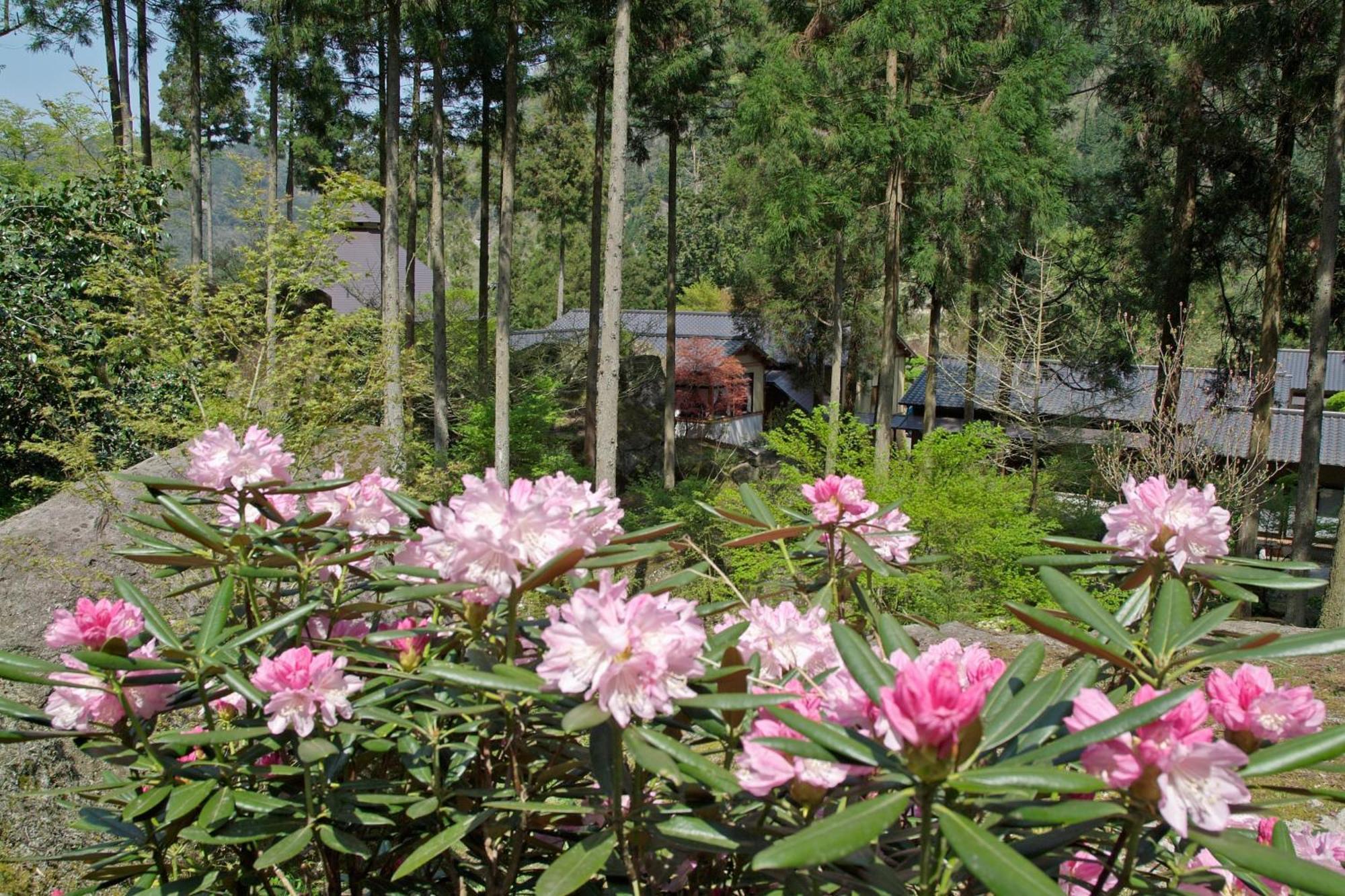 Auberge Funoki Nakatsu Εξωτερικό φωτογραφία