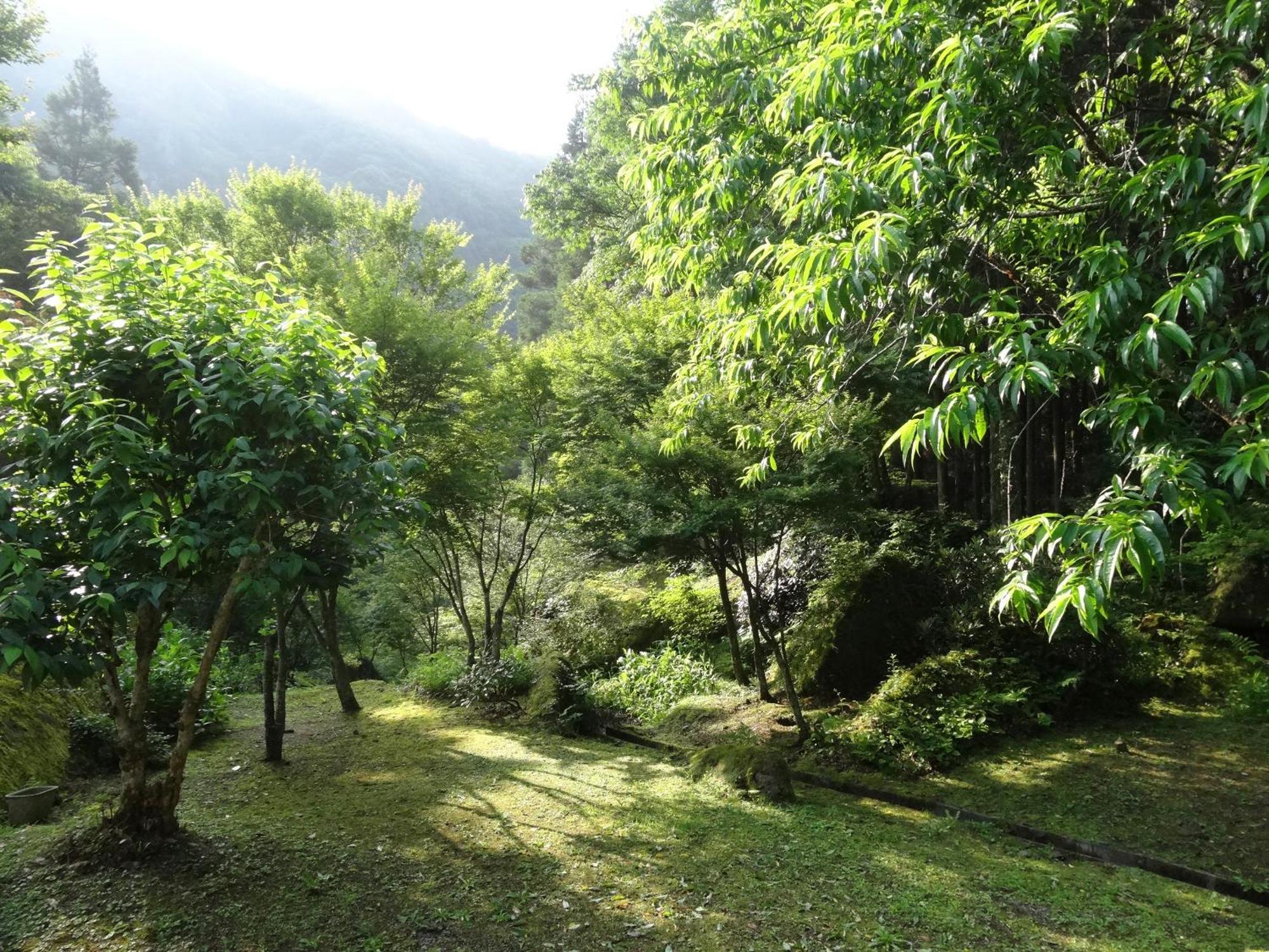 Auberge Funoki Nakatsu Εξωτερικό φωτογραφία